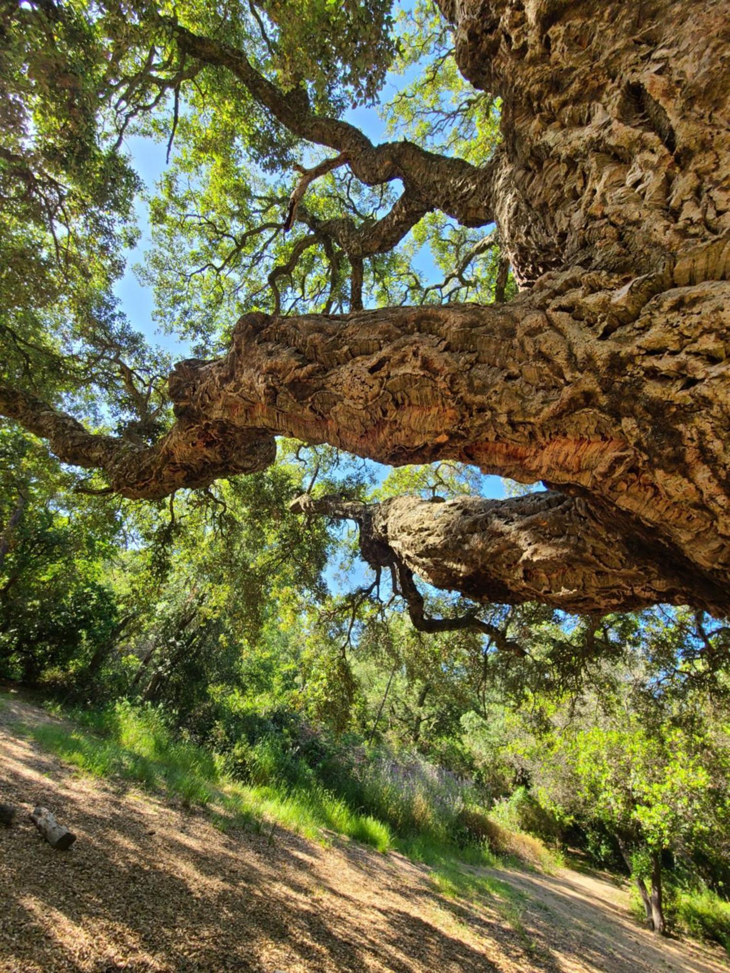 Evasion Nature A Cap Esterel Jardin, Mer & Golf Tout Confort แซ็งต์-ราฟาเอล ภายนอก รูปภาพ