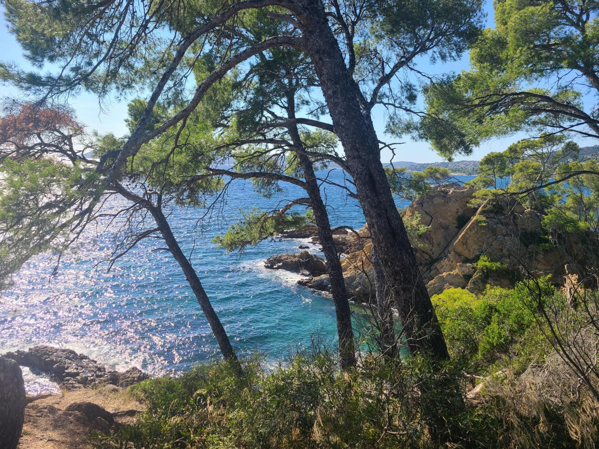 Evasion Nature A Cap Esterel Jardin, Mer & Golf Tout Confort แซ็งต์-ราฟาเอล ภายนอก รูปภาพ